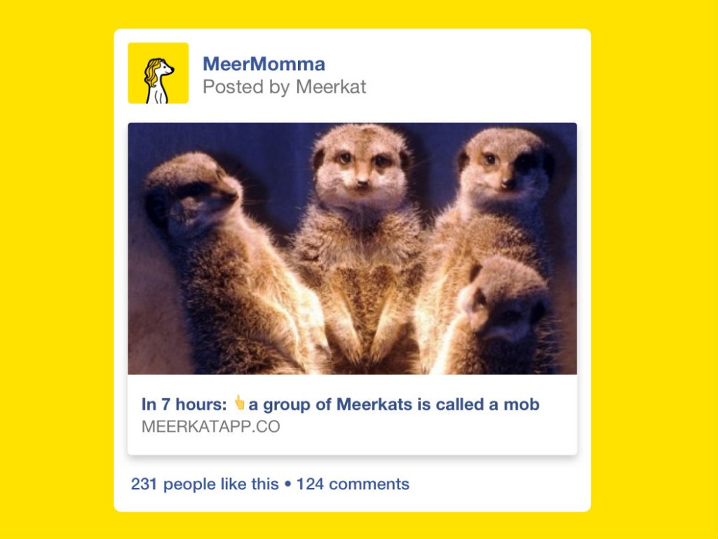 Meerkat se actualiza y ahora permite streaming en Facebook