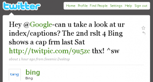 bing-google-twitter