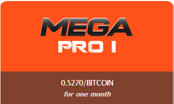 mega bitcoin